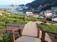 홍도유람선협업
