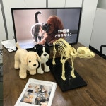 네추럴레매디