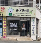 윤애견미용