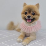 베르펫살롱