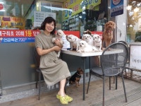 순돌뭐하니애견샵