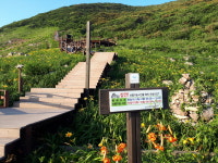 홍도유람선협업