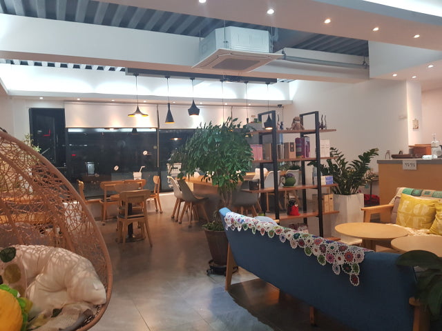 카페 더하루