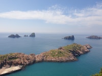 홍도유람선협업