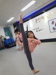 용인대국가대표태권도장