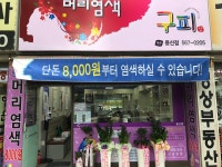 구피샵 대구용산점