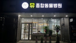 뮤동물병원