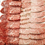 화돈화우 김해직영점