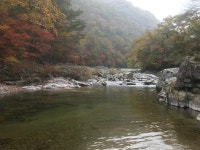 을수골 하얀집펜션