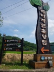 백야펜션