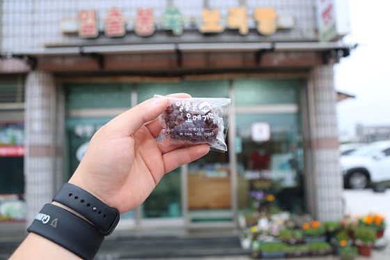 일출봉쑥빵보리빵 사진