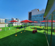 안양강아지 고양이 도그마루