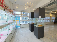 대구강아지분양 고양이분양 도그마루