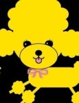 노랑퍼피
