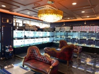 빅토리아펫 강아지고양이 잠실점