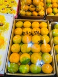 영희농수산