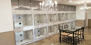 인천강아지분양 고양이분양 도그마루