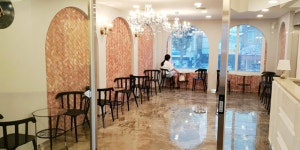 인천강아지분양 고양이분양 도그마루