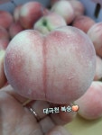 과일향 창원점