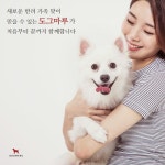 수원강아지분양 고양이분양 도그마루