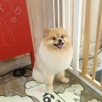 내개로와