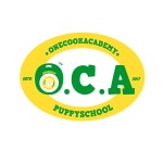 원쿡 강아지 유치원