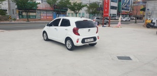 에코렌트카 포항본점