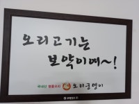 오리궁뎅이 첨단점