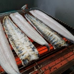 삼용장어 직판장