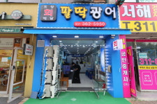 팔딱광어