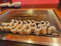 늘봄구기자숯불풍천장어