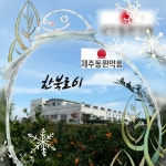 제주동원약품