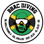 제주빡빡이 스쿠버