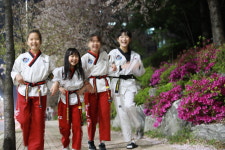 최강백호 태권도장