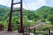 금낭화타운