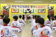 최강백호 태권도장