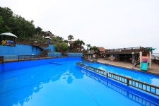 대천통나무 하늘정원펜션