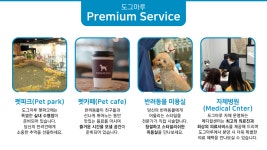 인천강아지분양 고양이분양 도그마루
