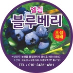 블루베리 엘림 농장