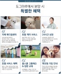인천강아지분양 고양이분양 도그마루