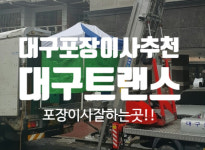 대구트랜스