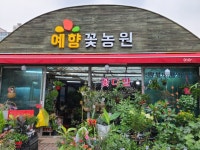 예향꽃농원