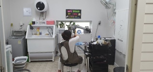 냥이멍이세상