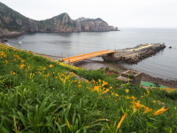 홍도유람선협업