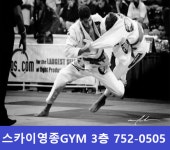 합기도& 주짓수 스카이 영종GYM