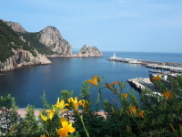 홍도유람선협업