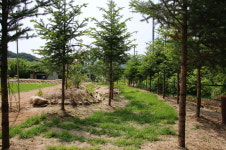새소리민박
