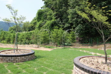 새소리민박