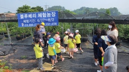 하늘정원 블루베리농장