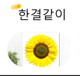 88양곱창센타7호